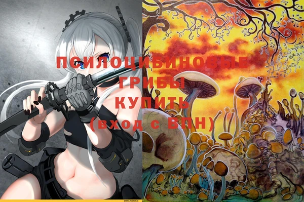 ешки Алексин