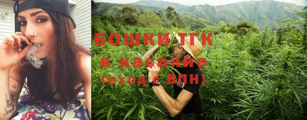 ешки Алексин