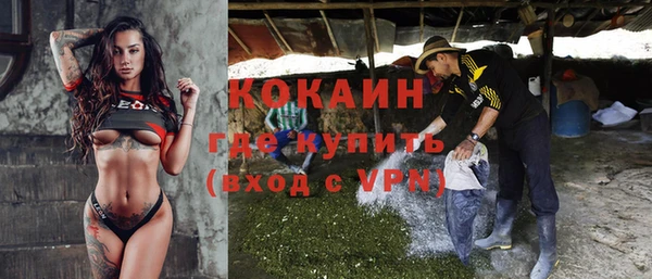 ешки Алексин