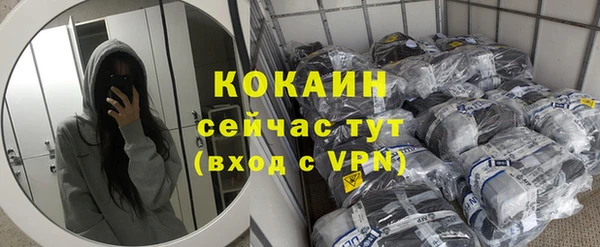 ешки Алексин