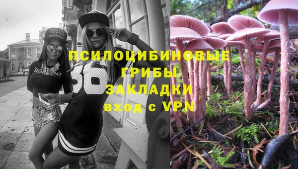 винт Алзамай