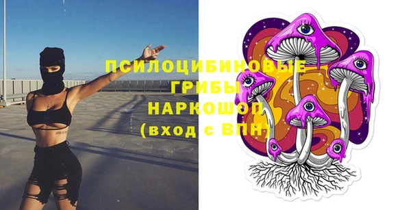 винт Алзамай