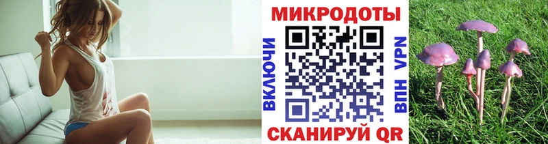 Купить где  Минеральные Воды  Псилоцибиновые грибы мицелий 